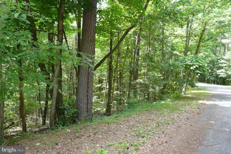 0 Straton Court---Lot 17-Section2-block 2, Basye, VA 22810 - photo 1