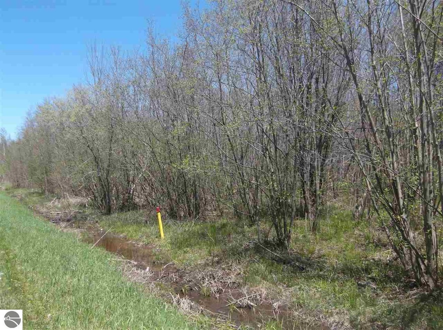 00 Putnam Rd, Hale, MI 48739 - photo 1