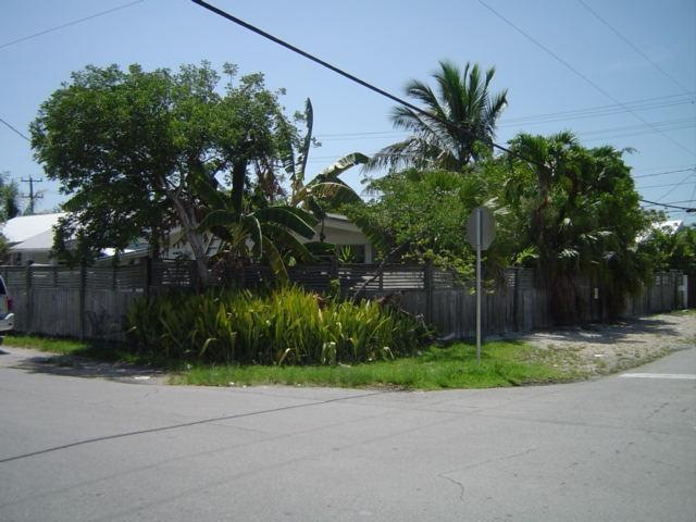 Primary Photo