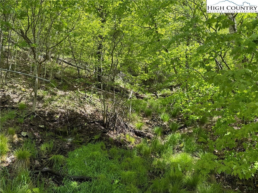Overlooking the property from upper side.