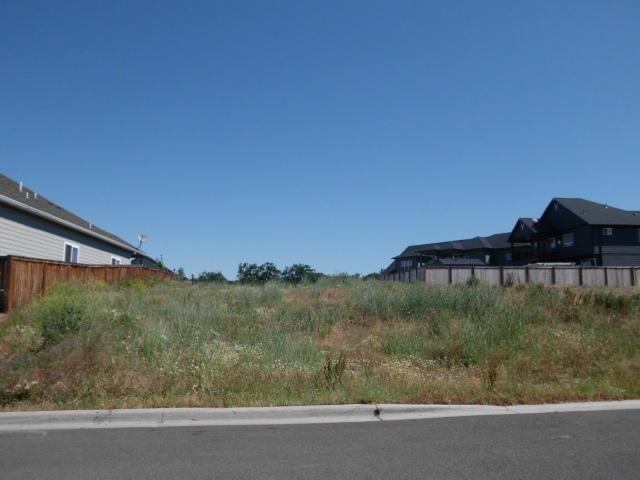 Primary Photo