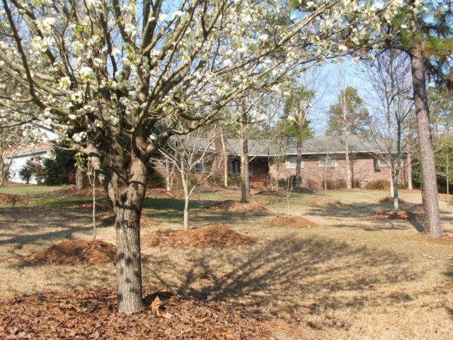 Main View