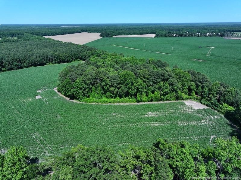 TBD Nc Hwy 71 Hwy, Red Springs, NC 28377 - photo 1