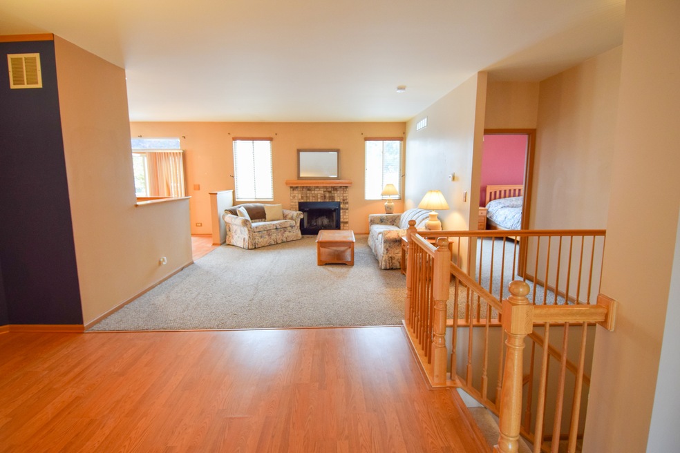 12244 Pear Tree Way, Plainfield, IL 60585 - photo 1