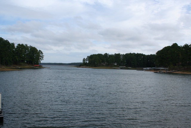 Main View