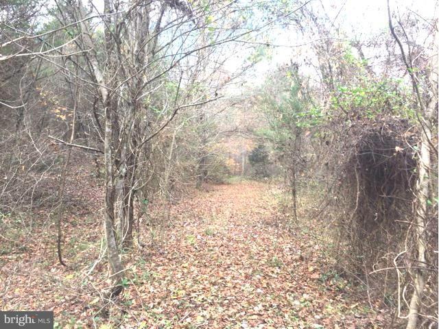 0 Ellisville Dr unit 1000546189, Louisa, VA 23093 - photo 1