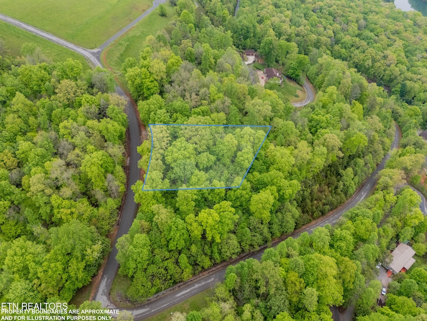 DJI_20250424092524_0390_D-HDR-LOT-LINES