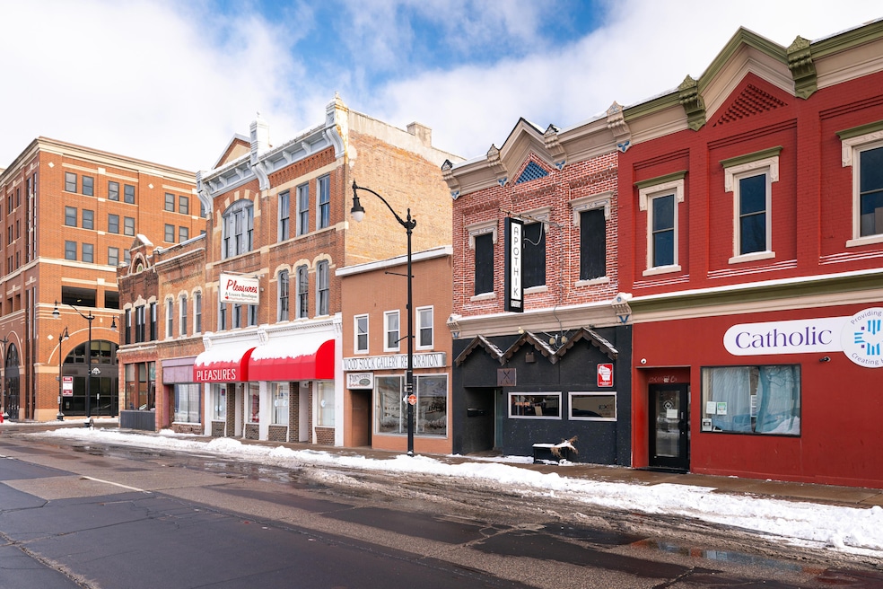 411 3rd St S, La Crosse, WI 54601 - photo 1