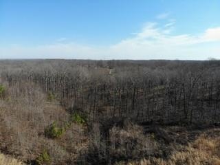 0 Preston Baggett Rd, Tennessee Ridge, TN 37178 - photo 1