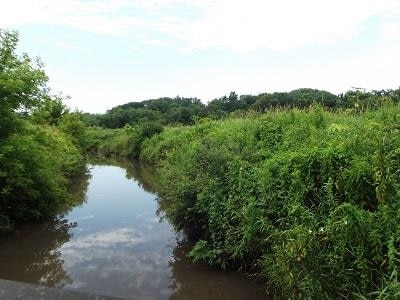 51+/- Acres Cth 0 Rd, Mineral Point, WI 53565 - photo 1