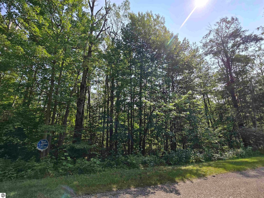 1617 Springdale, Lakes of the North, MI 49730 - photo 1