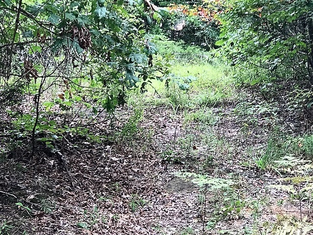 0 Lickskillet Dr unit 10040297, Magnolia, KY 77354 - photo 1