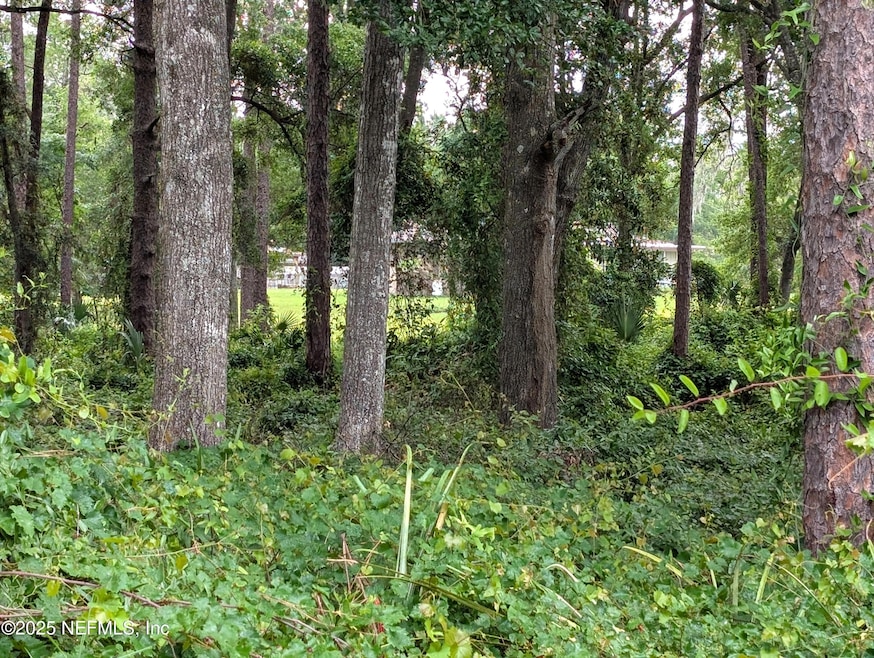 00 SE 1st Ave, Keystone Heights, FL - photo 1