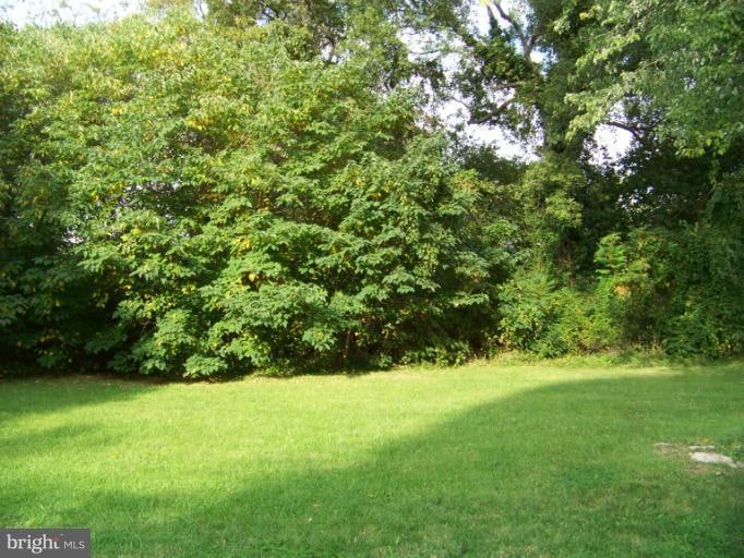 305 S Liberty St, Centreville, MD 21617 - photo 1