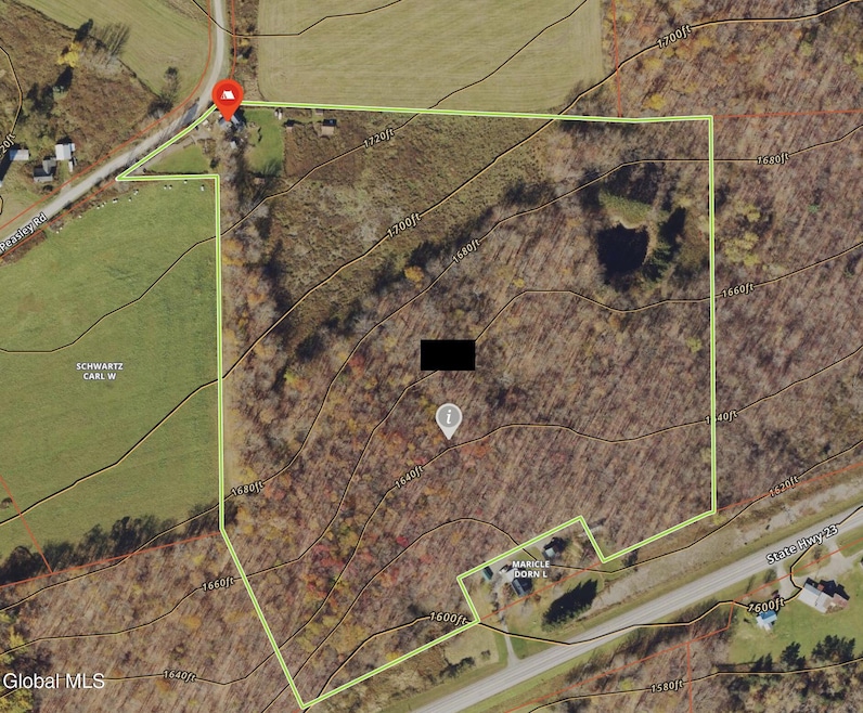 168 George Peasley Rd, Pharsalia, NY 13844 - photo 1