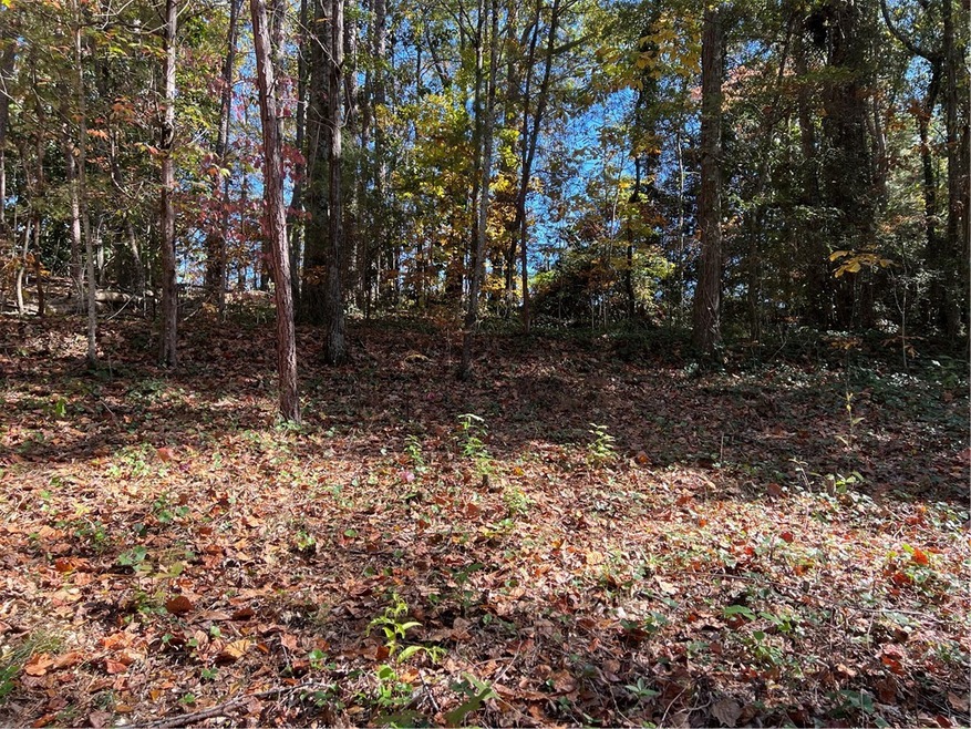 Lot 5 Dutch Fork West Union