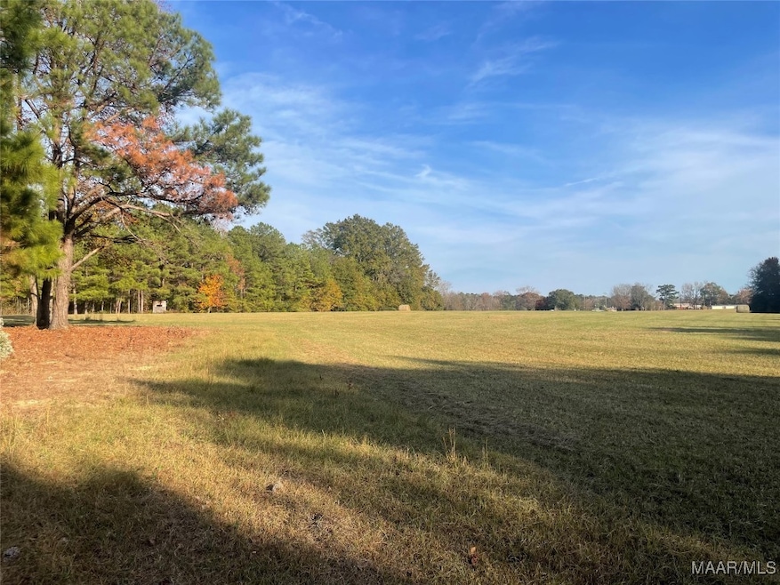 . County Road 69, Valley Grande, AL 36701 - photo 1