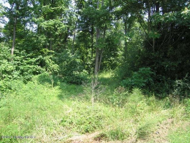 00 Knobview Ave, Lebanon Junction, KY 40150 - photo 1