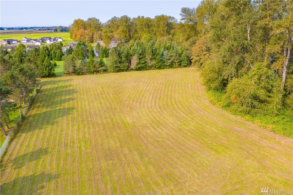 0 Old Everson Rd, Everson, WA 98247 - photo 1