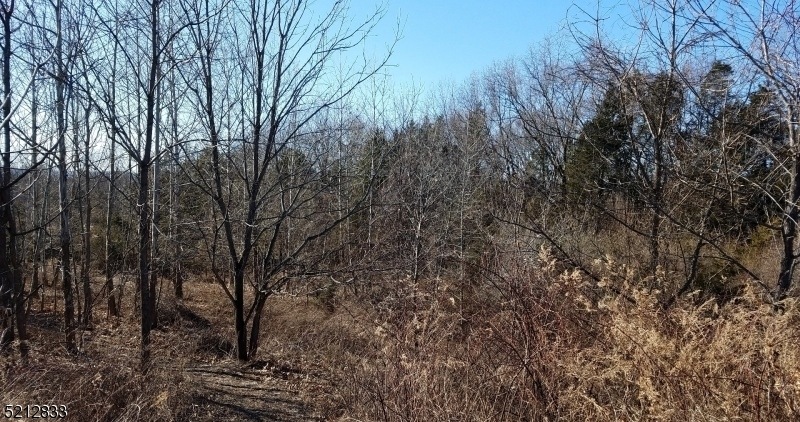 37 River View Dr, Hardwick, NJ 07825 - photo 1