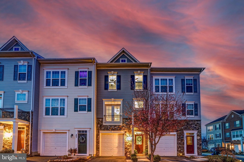 203 Miles Hawk Terrace, Purcellville, VA 20132 - photo 1