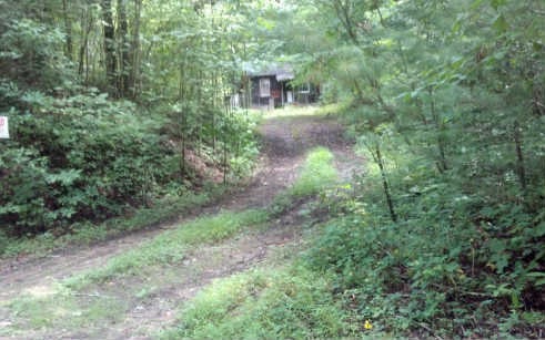 Main View