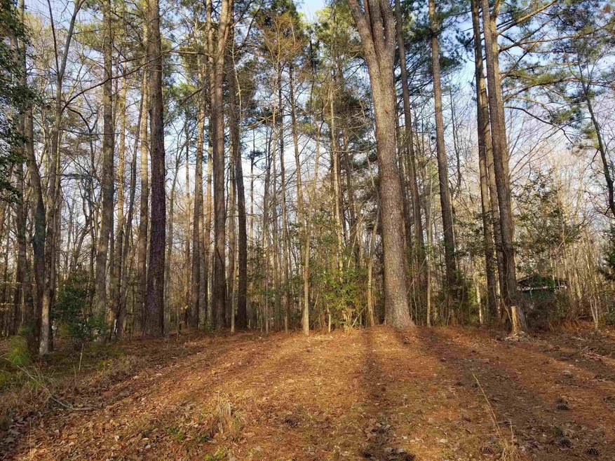 133 Omaha Dr, Louisburg, NC 27549 - photo 1