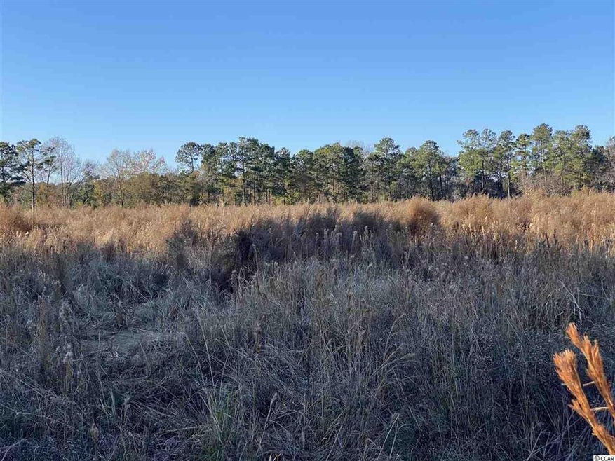 TBD Lambert Rd unit 32.42 Acres, Conway, SC 29526 - photo 1