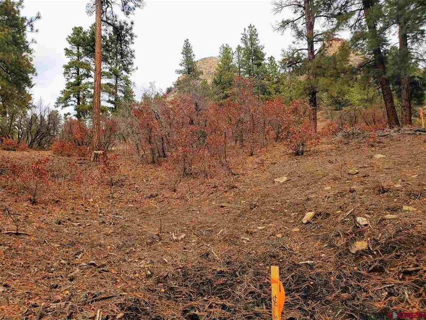 0 Bell Flower Ct unit 767546, Durango, CO 81301 - photo 1