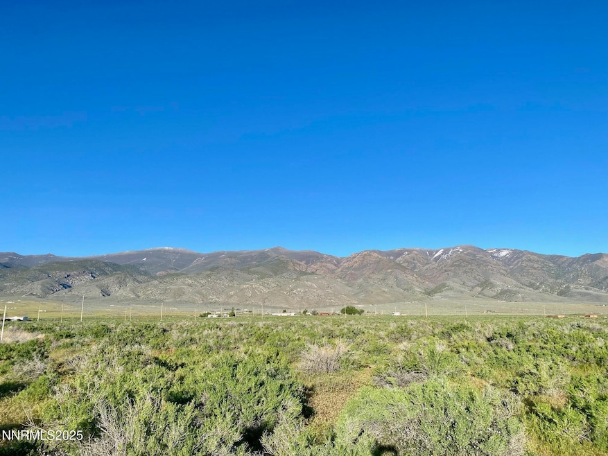 22510 Prosser Ct, Lovelock, NV 89419 - photo 1