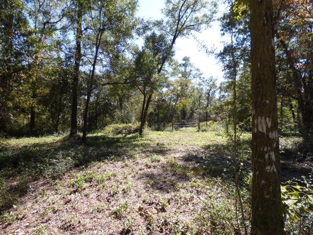 0 Swirl Ln unit 287251, Crawfordville, FL 32327 - photo 1