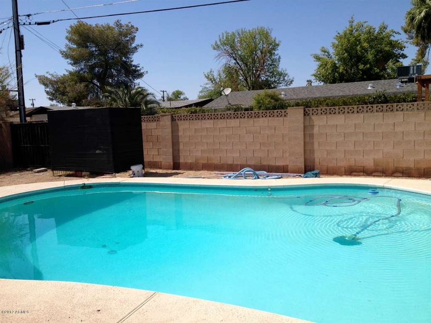 Backyard pool