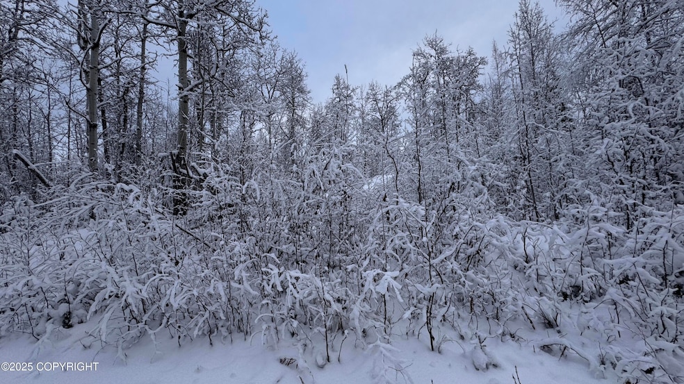 48609 S Tussle Cir, Willow, AK 99688 - photo 1