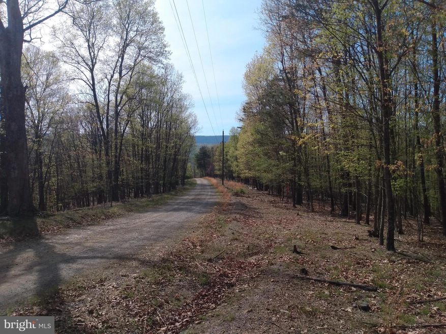 Lot 83 Roundtop Ln, Berkeley Springs, WV 25411 - photo 1