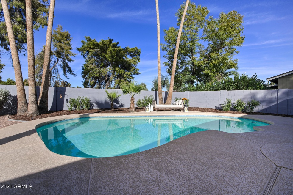 Gorgeous Backyard