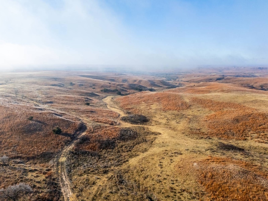 TBD S County Rd 170, Shattuck, OK 73858 - photo 1