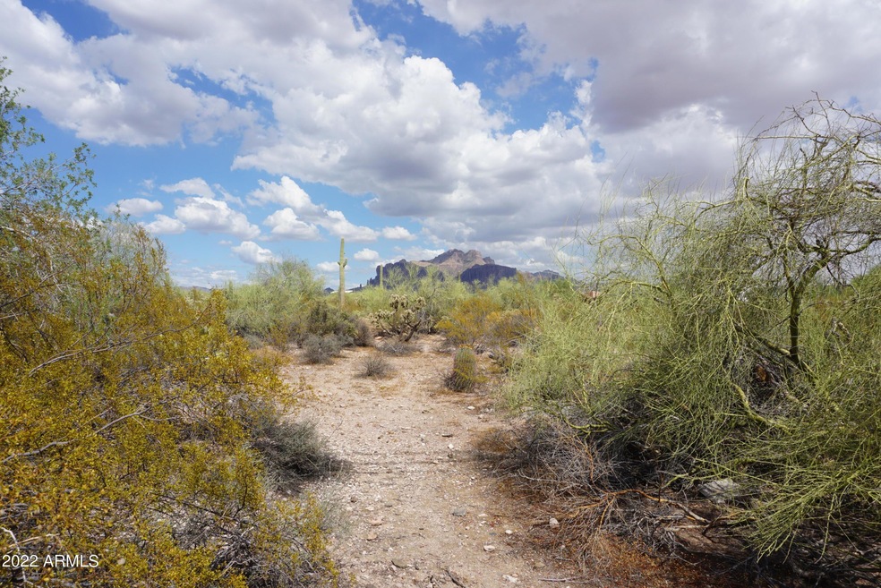 Superstition Mtn View 1