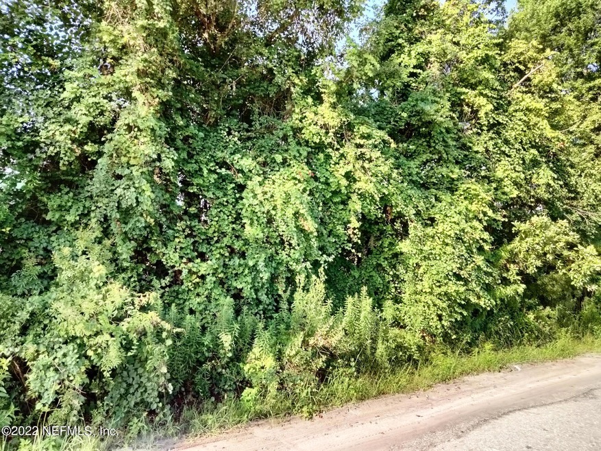 0 Osceola Trail unit 1181765, Middleburg, FL 32068 - photo 1