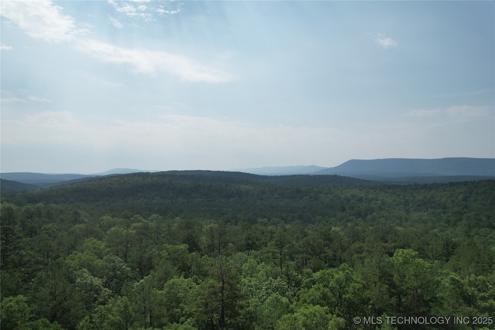 0 Rural Route unit 2533601, Wister, OK 74966 - photo 1