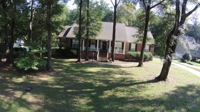 Main View