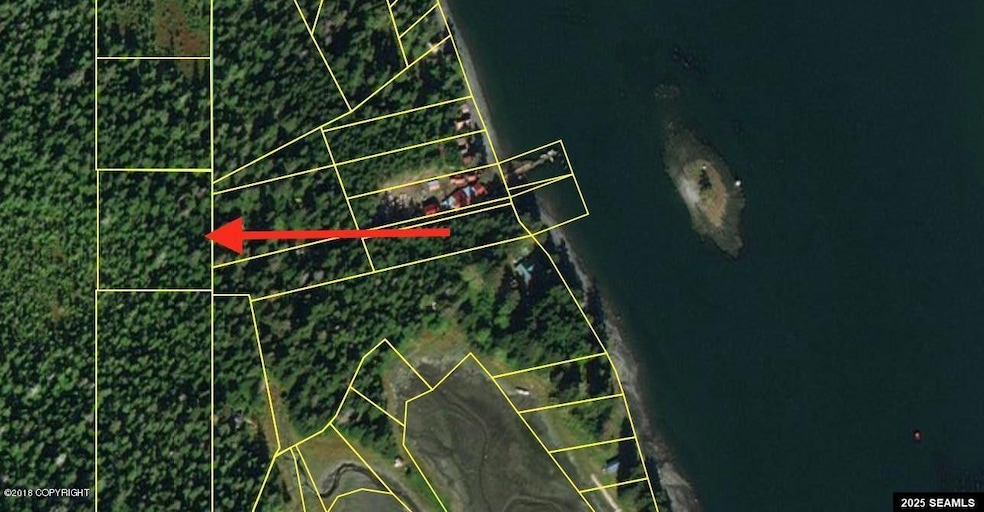 L16C Kupreanof Subd, Petersburg, AK 99833 - photo 1