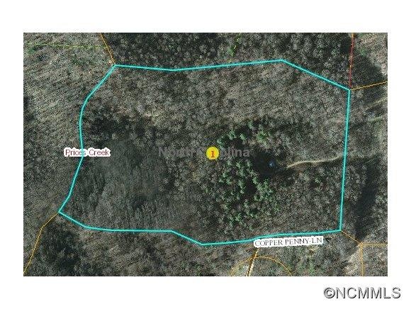 SR1121 Prices Creek Rd, Burnsville, NC 28714 - photo 1