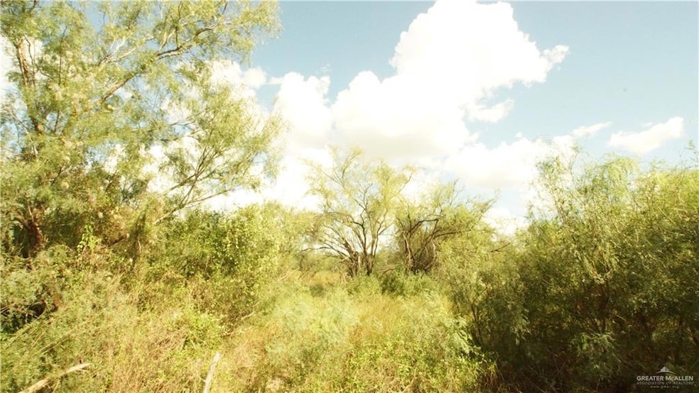 View of nature
