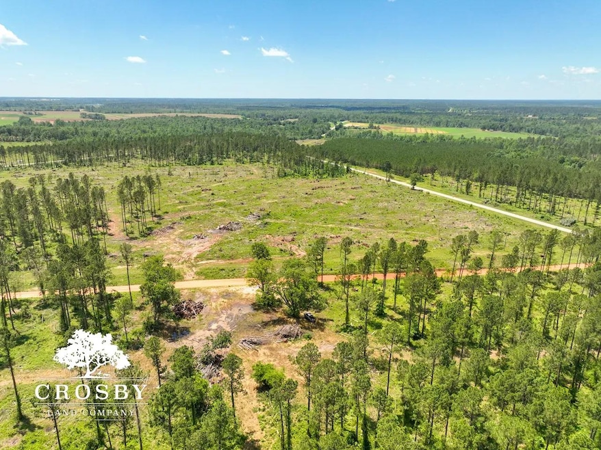 0 W Quaker Rd unit 25649767, Keysville, GA 30816 - photo 1