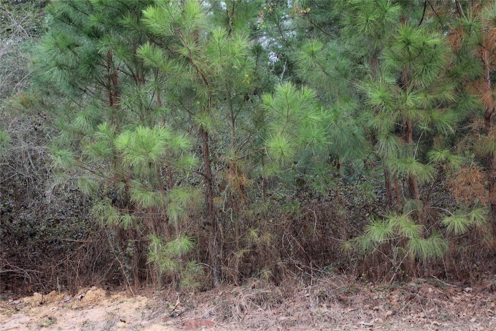 11802 Tara Plantation Dr, Tomball, TX 77375 - photo 1