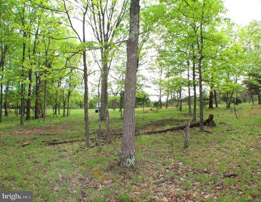 8.01 ac Morgantown Rd, Maysville, WV 26833 - photo 1