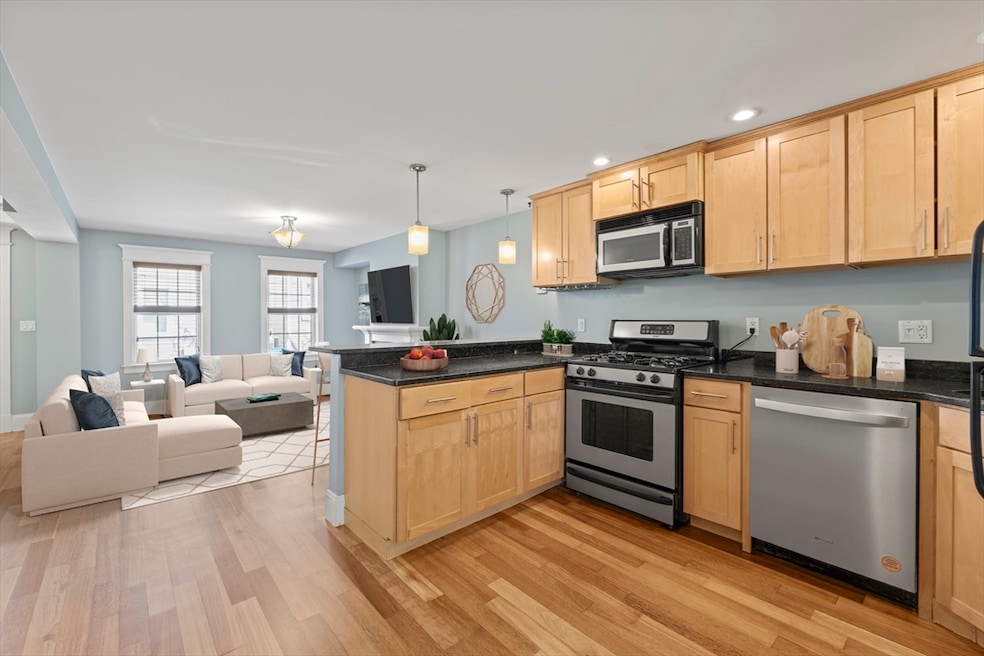 45 Ward St unit 45, Boston, MA 02127 - photo 1