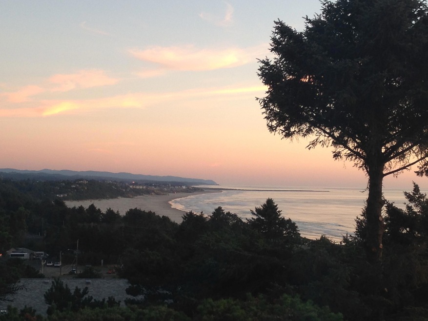 View1