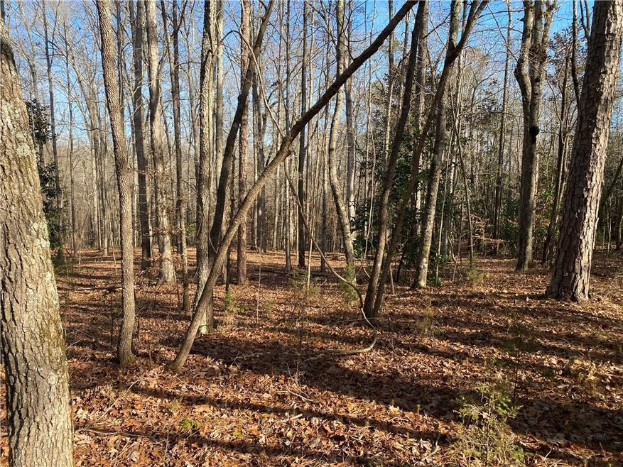 0 New Kings Bridge Rd Lot 17 Curry Creek Estate, Athens, GA 30607 - photo 1