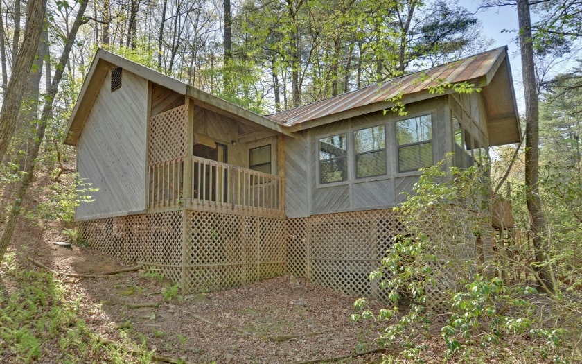 Main View